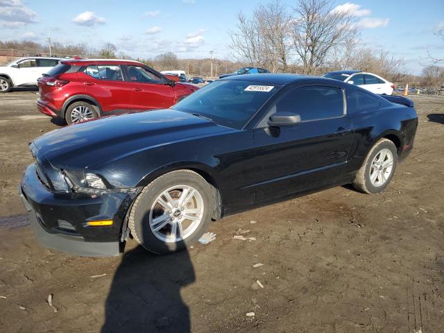 Image 1 of 2014 FORD MUSTANG  2014 with VIN 1ZVBP8AMXE5315416