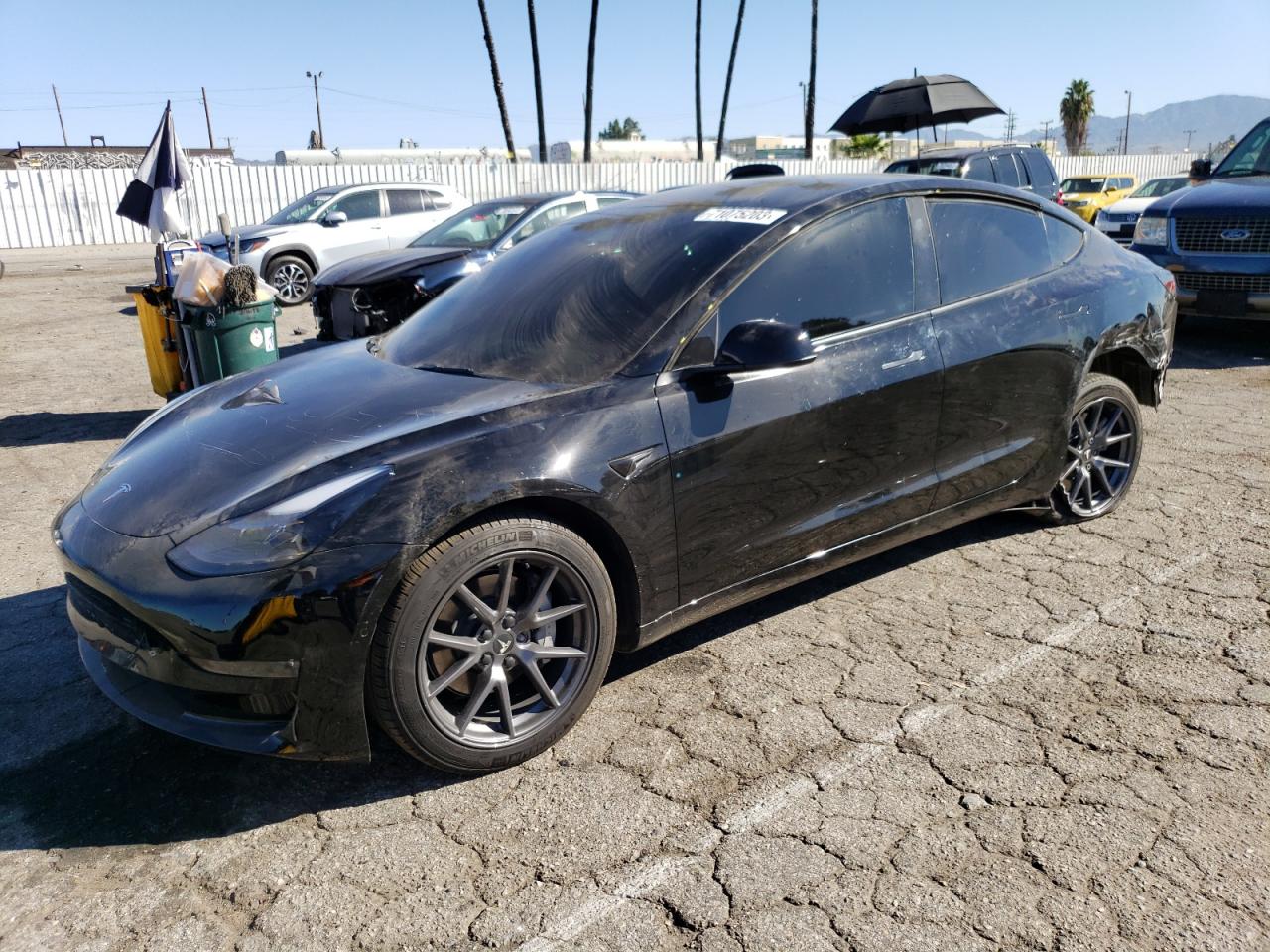 Tesla Model 3 2022 image