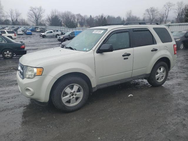 Image 1 of 2009 FORD ESCAPE XLT 2009 with VIN 1FMCU93749KC31009