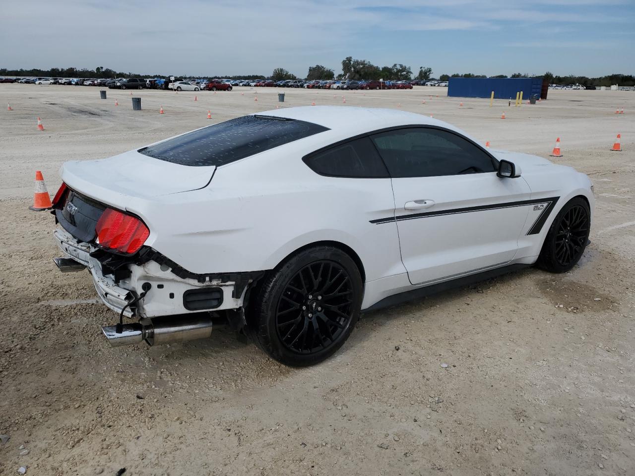Obraz 3 z 2015 FORD MUSTANG GT 2015 z VIN 1FA6P8CF0F5366949