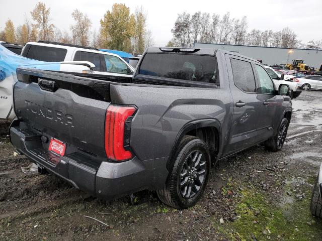 Obraz 3 z 2023 TOYOTA TUNDRA CREWMAX PLATINUM 2023 z VIN 5TFNA5DB3PX103913