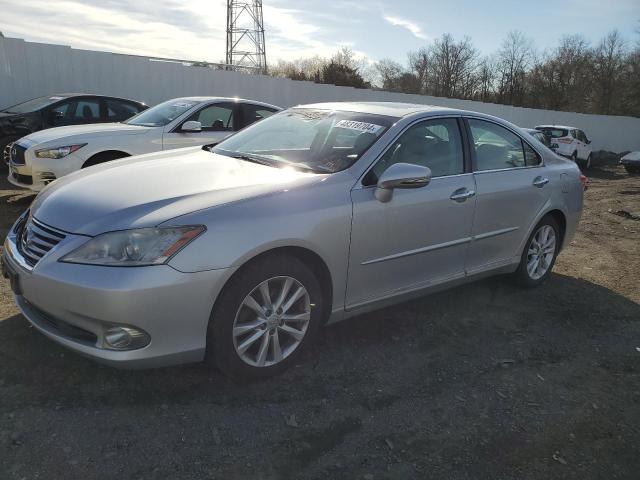 Obraz 2010 LEXUS ES 350 2010