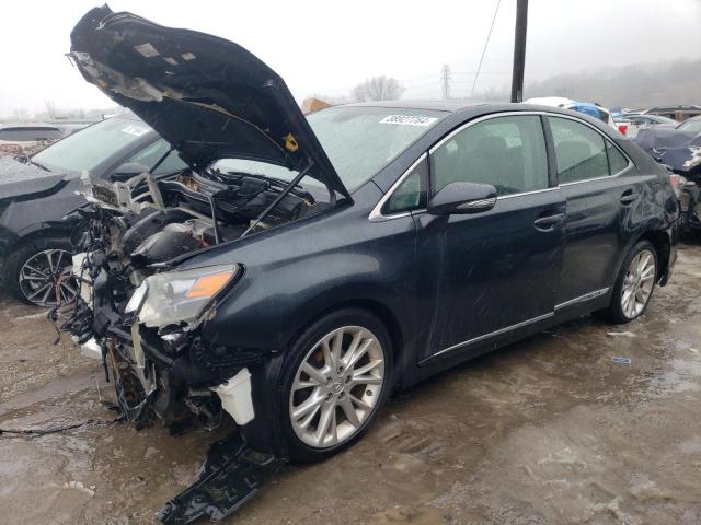 Obraz 2010 LEXUS HS 250H 2010