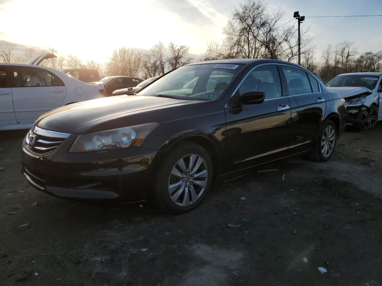 Image 1 of 2011 HONDA ACCORD EXL 2011 with VIN 5KBCP3F82BB001048