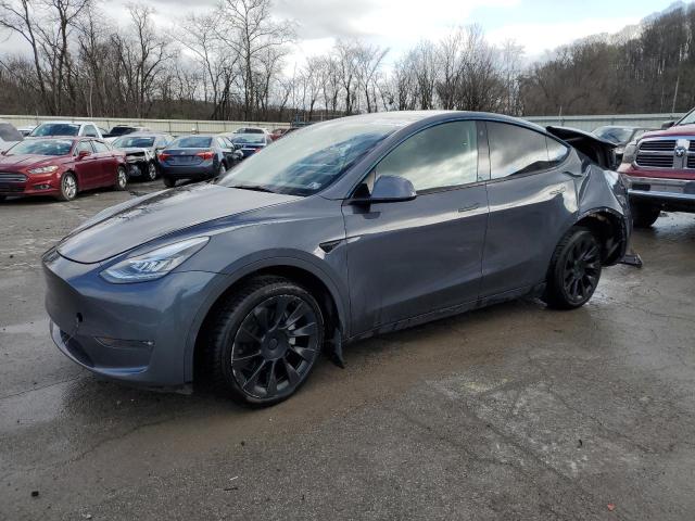 2022 TESLA MODEL Y  2022 image