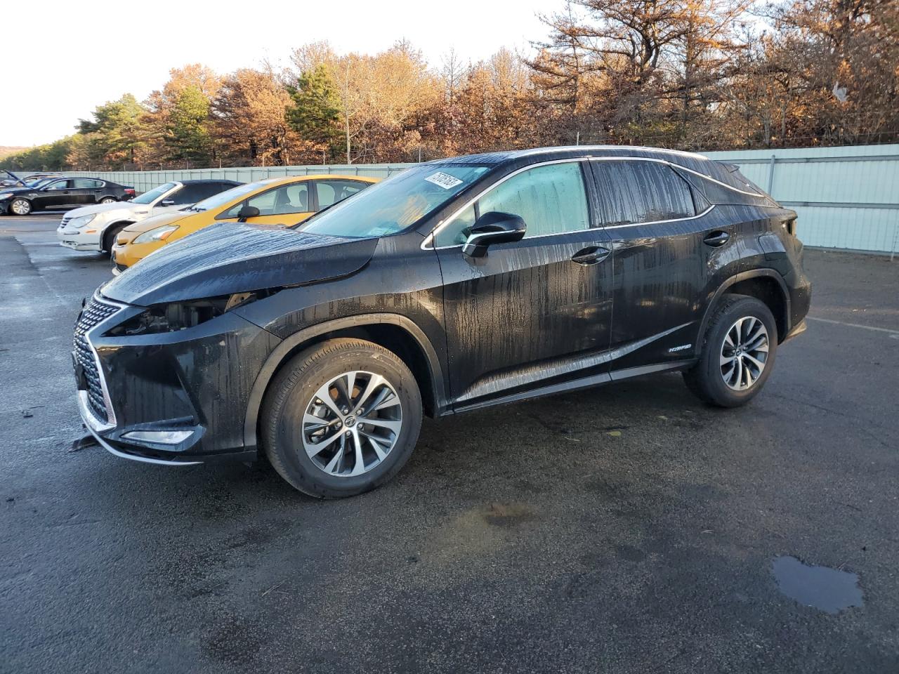 2022 LEXUS RX 450H 2022 image