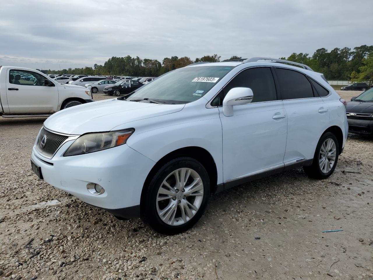 Изображение 2010 LEXUS RX 450 2010