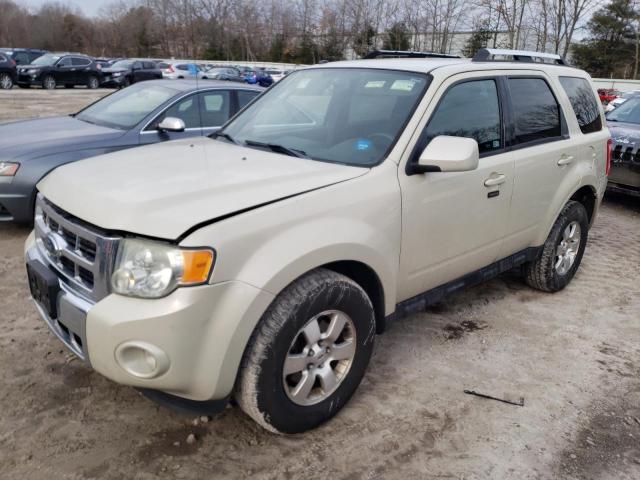 Obraz 2009 FORD ESCAPE LIMITED 2009