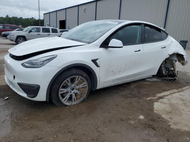 2021 TESLA MODEL Y  2021 image