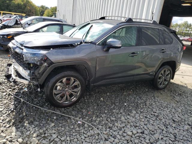 Image 1 of 2022 TOYOTA RAV4 XLE PREMIUM 2022 with VIN 4T3B6RFV9NU091979