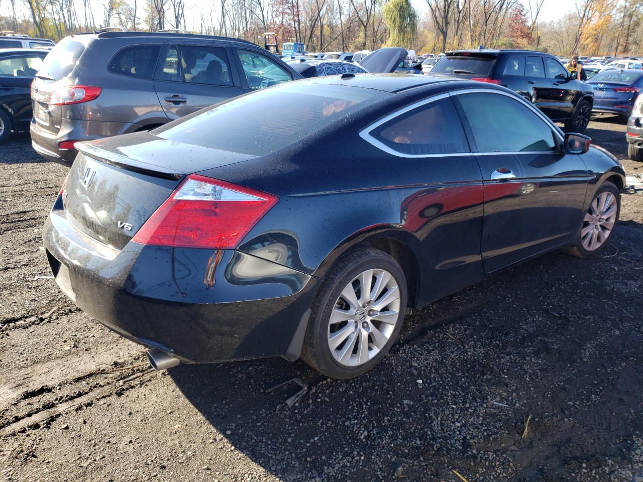 Obraz 3 z Honda Accord Exl 2010 z VIN 1HGCS2B84AA000084