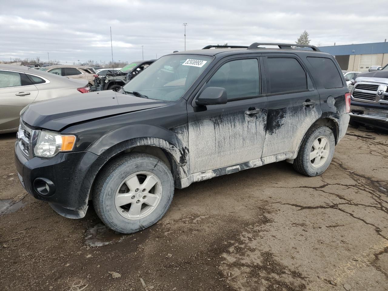 2010 FORD ESCAPE XLT 2010 image