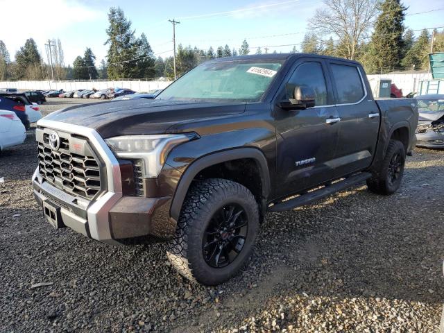 Изображение 1 2023 TOYOTA TUNDRA CREWMAX LIMITED 2023 с VIN 5TFJA5DB8PX079624