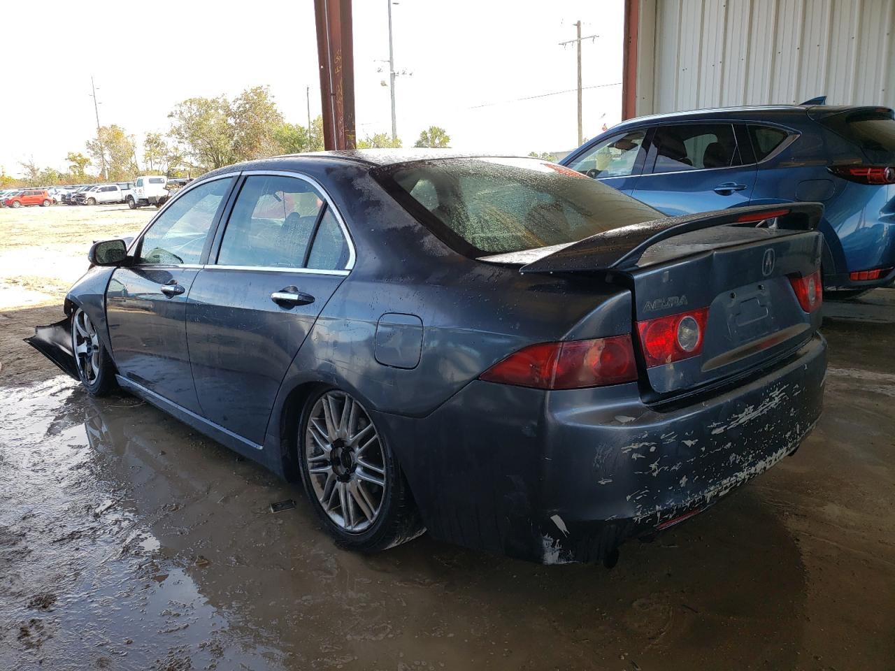 Image 2 of 2004 ACURA TSX  2004 with VIN JH4CL96904C025479