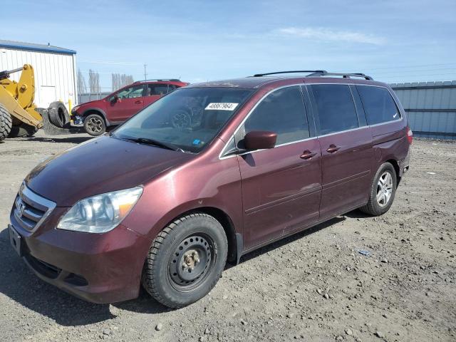 2007 HONDA ODYSSEY EXL 2007 image