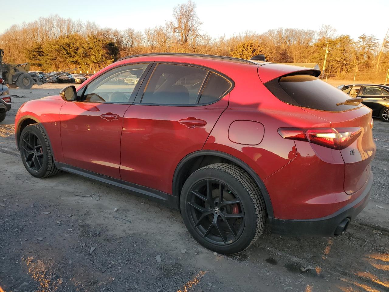 Изображение 2 2019 ALFA ROMEO STELVIO TI 2019 с VIN ZASPAKBN3K7C43853