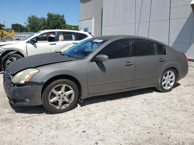 2004 NISSAN MAXIMA SE 2004 image
