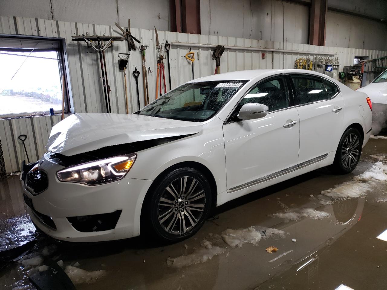 Изображение Kia Cadenza Premium 2014