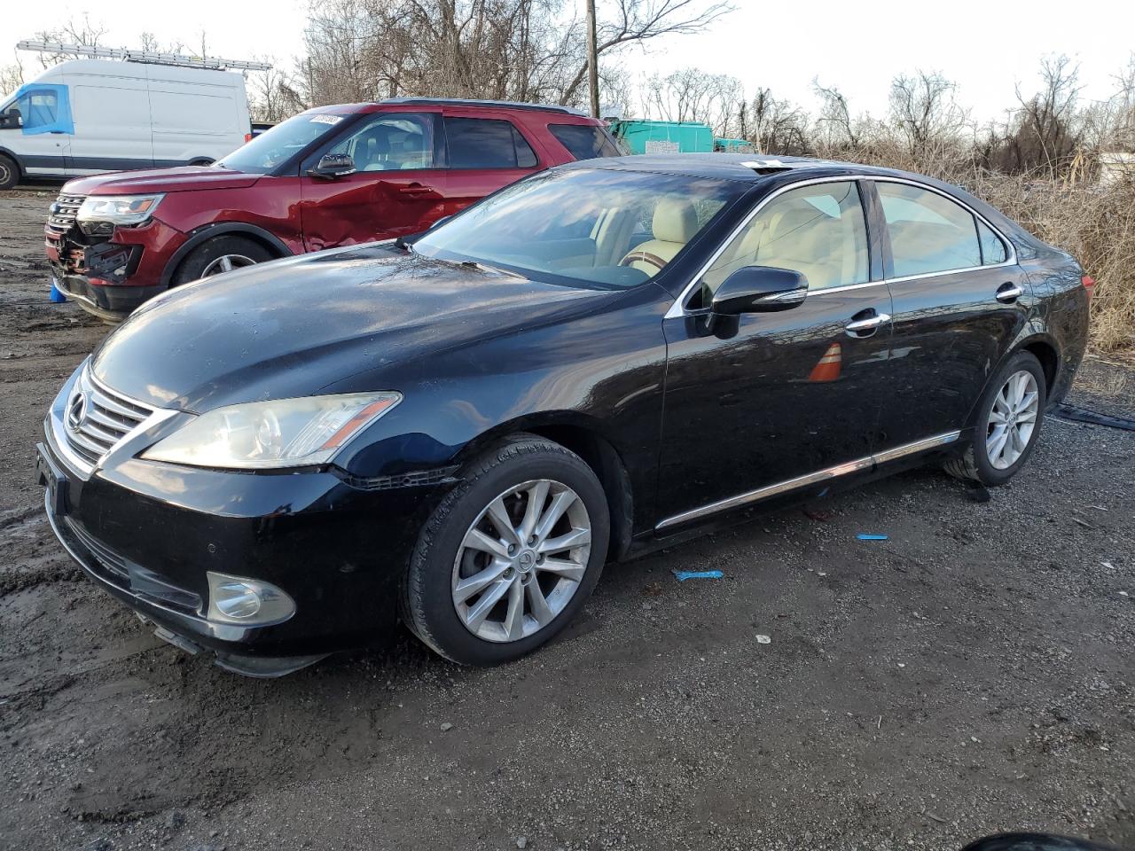 Obraz 2010 LEXUS ES 350 2010