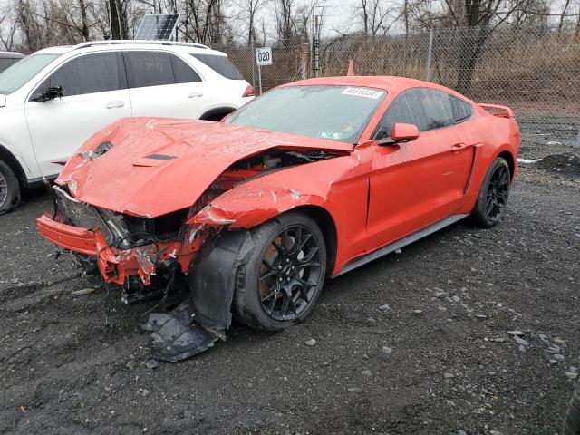 2019 FORD MUSTANG  2019 image