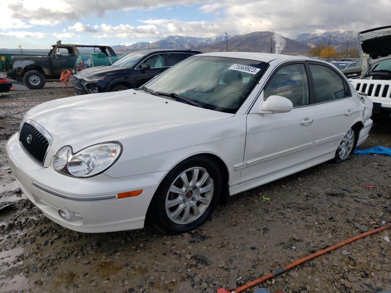 Image 1 of 2004 HYUNDAI SONATA GLS 2004 with VIN KMHWF35H64A960167
