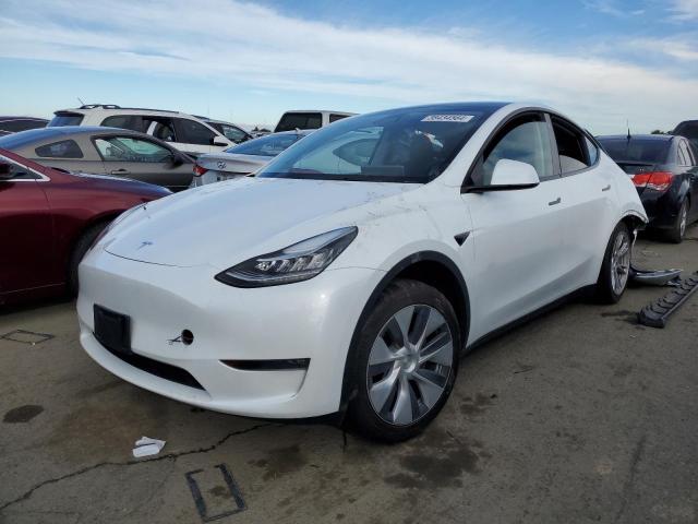 2023 TESLA MODEL Y  2023 image