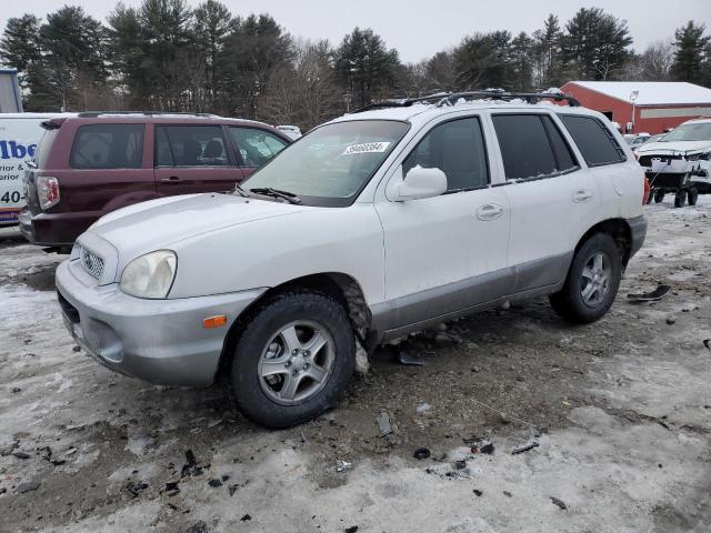 Obraz 2004 HYUNDAI SANTA FE GLS 2004