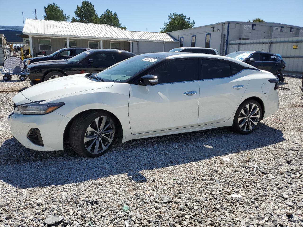 Obraz 2023 NISSAN MAXIMA PLATINUM 2023