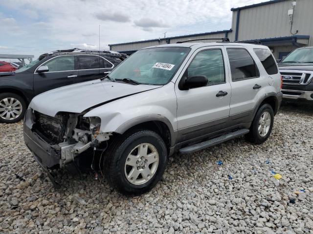 2006 FORD ESCAPE XLT 2006 image