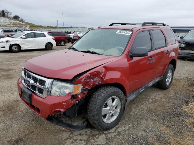 2010 FORD ESCAPE XLT 2010 image