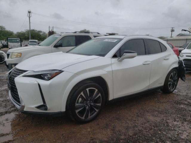 2022 LEXUS UX 250H BASE 2022 image