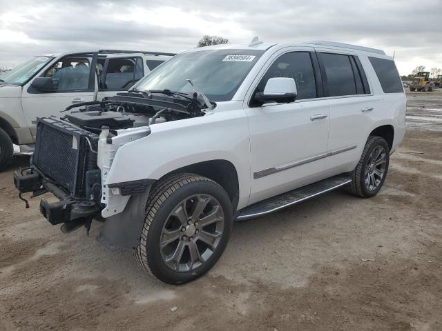 Obraz 2019 CADILLAC ESCALADE LUXURY 2019