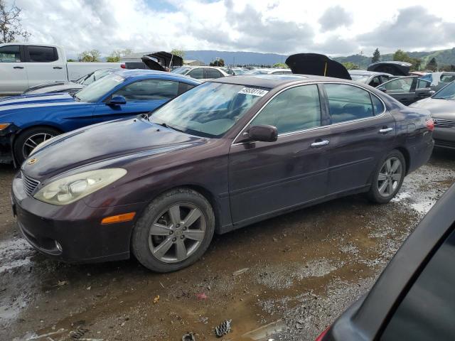 2006 LEXUS ES 330 2006 image