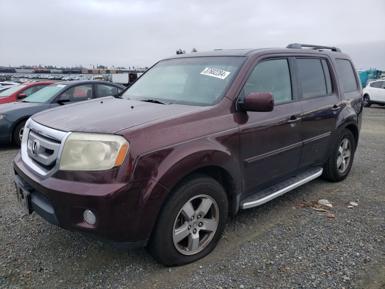 2009 HONDA PILOT EXL 2009 image