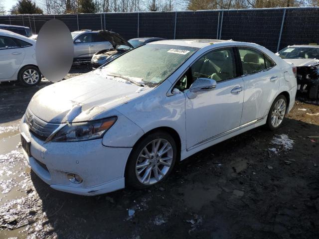 Image 1 of 2010 LEXUS HS 250H 2010 with VIN JTHBB1BA6A2000801