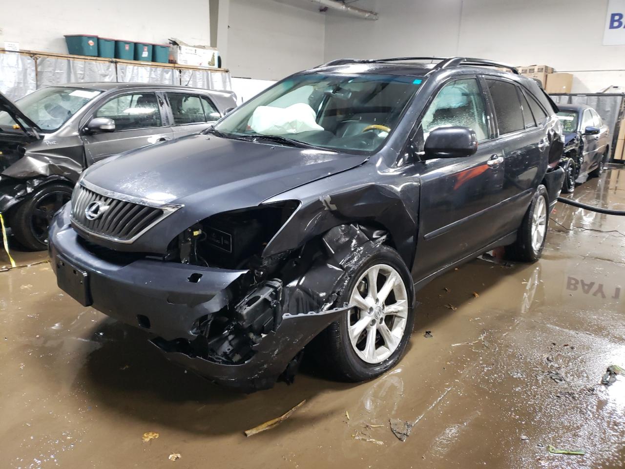 2009 LEXUS RX 350 2009 image