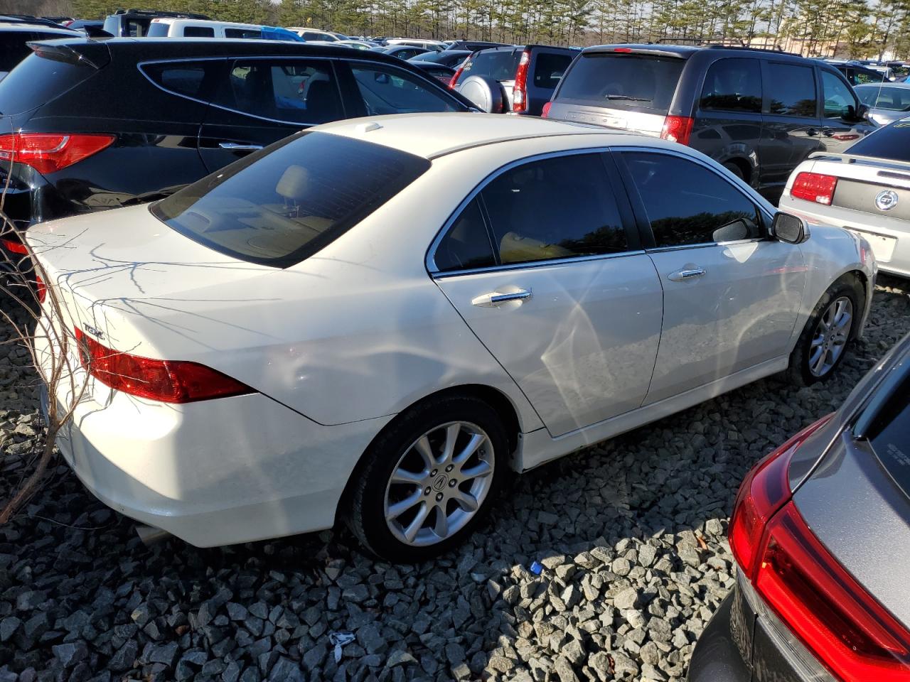 Изображение 3 2008 ACURA TSX  2008 с VIN JH4CL96928C011704