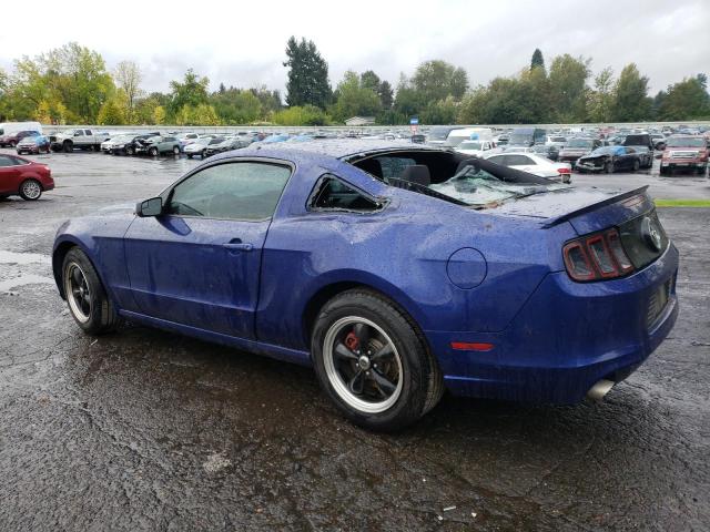 Изображение 2 2013 FORD MUSTANG  2013 с VIN 1ZVBP8AM5D5255530