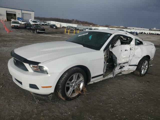 Image 1 of 2011 FORD MUSTANG  2011 with VIN 1ZVBP8AM1B5118789