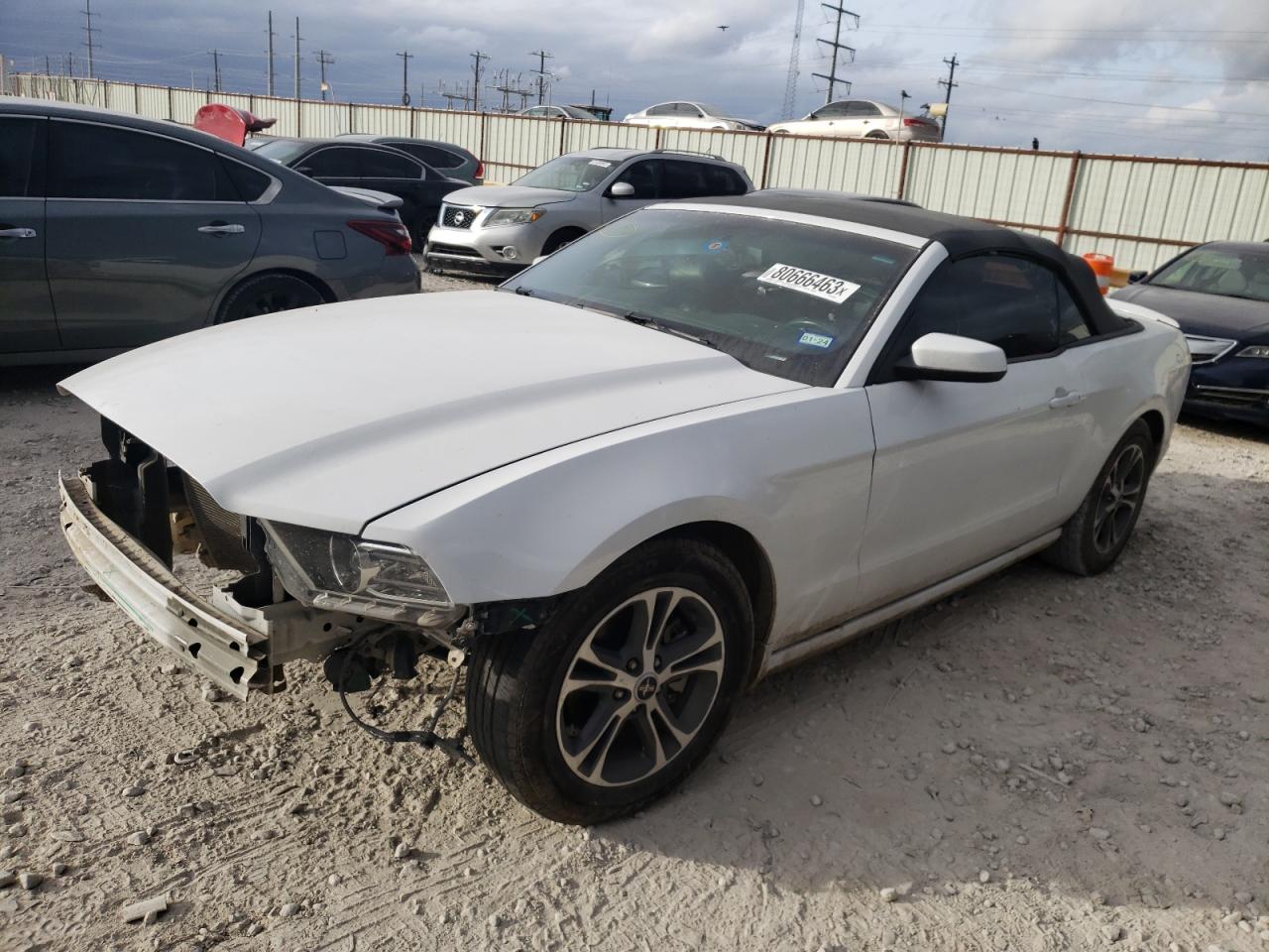 2014 FORD MUSTANG  2014 image