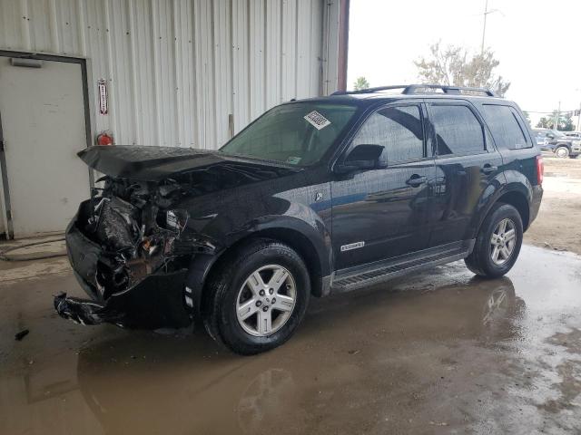 2008 FORD ESCAPE HEV 2008 image