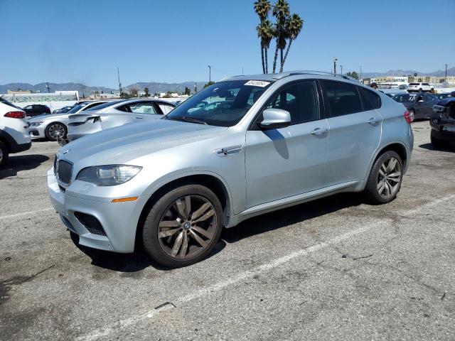 2011 BMW X6 M 2011 image