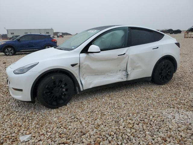 2022 TESLA MODEL Y  2022 image