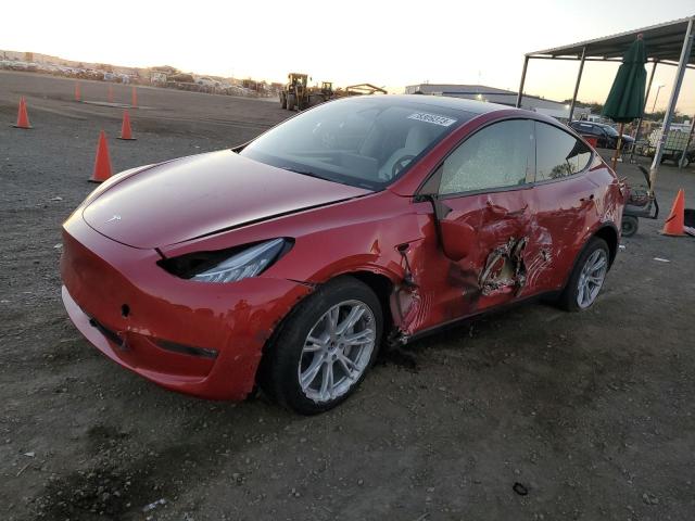 2023 TESLA MODEL Y  2023 image