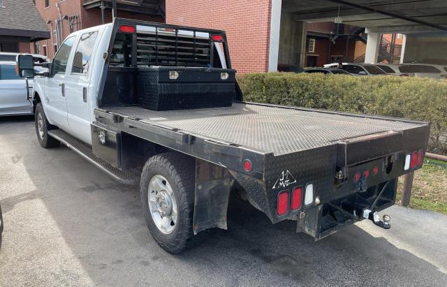 Obraz 3 z 2016 FORD F350 SUPER DUTY 2016 z VIN 1FT8W3BT3GEC97014