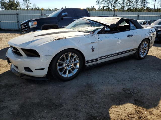 Obraz 2010 FORD MUSTANG  2010