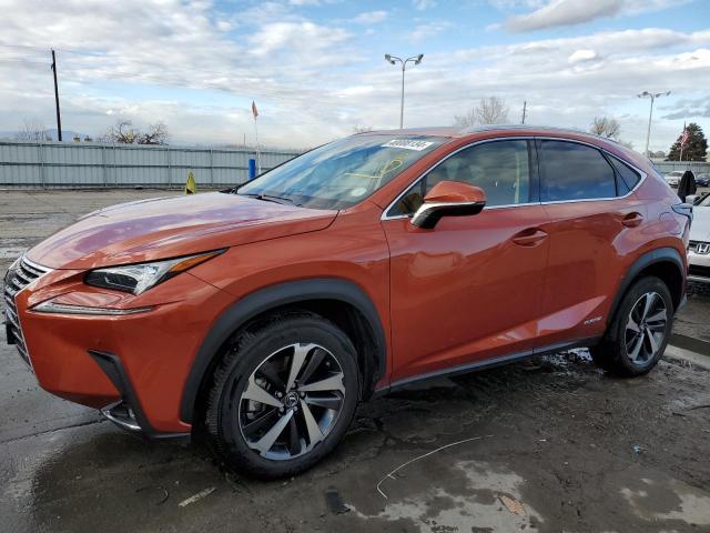 2021 LEXUS NX 300H BASE 2021 image