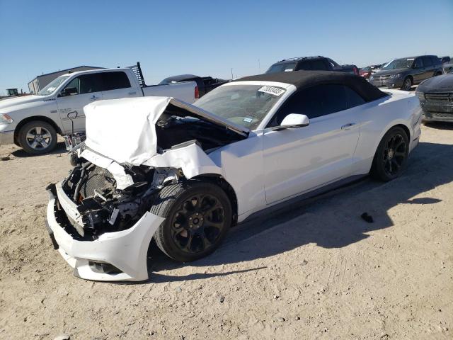 2017 FORD MUSTANG  2017 image