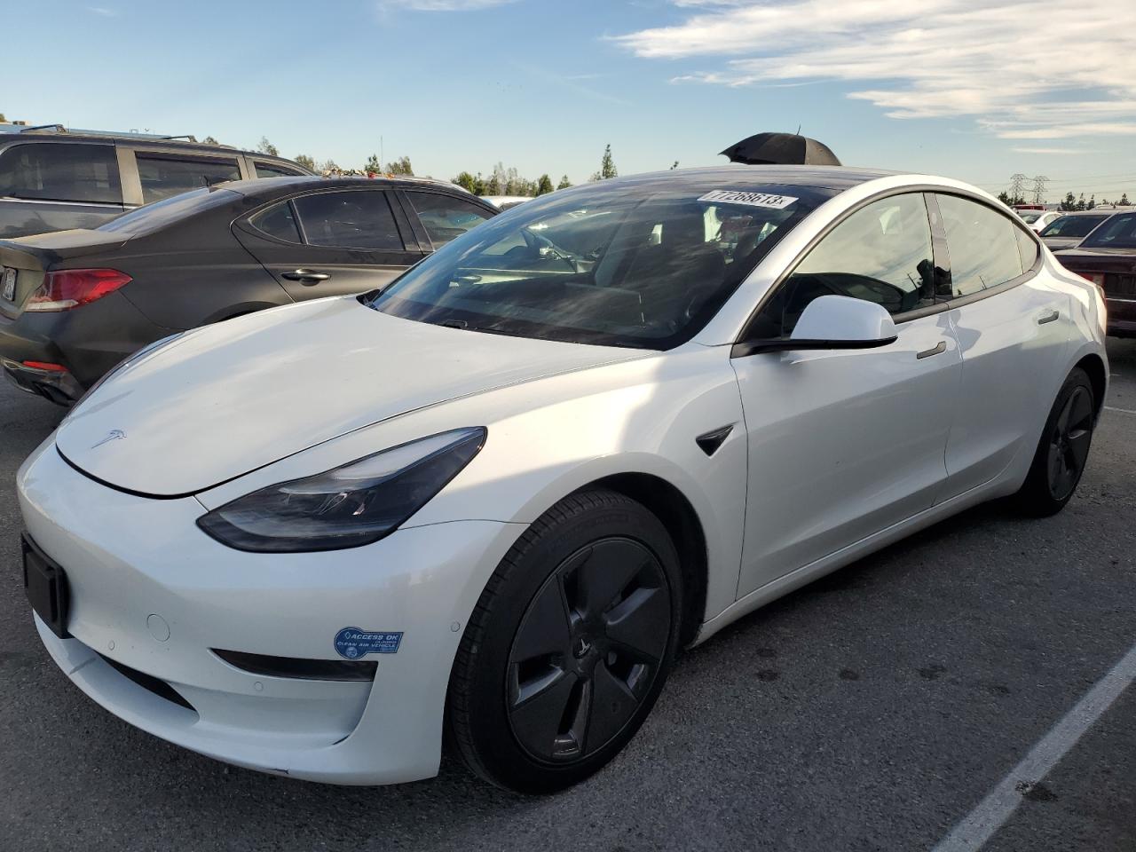 2021 TESLA MODEL 3  2021 image