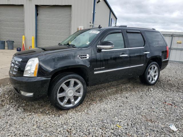 2010 CADILLAC ESCALADE PREMIUM 2010 image